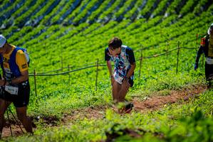 BIB: 9676, 300, 305, 2737
                            <button type="button" onclick="openModal(19162502)" class="btn btn-primary btn-sm float-right btn-popup" data-toggle="modal" data-target=".modal-high-quality">
                        <i class="fas fa-shopping-cart"></i> Add to Cart
                    </button>
                                            <button type="button" onclick="isThisMe(19162502, true)" class="btn btn-success btn-sm float-right btn-popup btn-isme hidden" data-toggle="tooltip" data-placement="bottom" title="นี่คือรูปของคุณใช่ไหม คลิกที่นี่เพื่อเอาเข้าอัลบั้ม">
                        <i class="fas fa-plus"></i> Add to album
                    </button>
                    <button type="button" onclick="isThisMe(19162502, false)" class="btn btn-warning btn-sm float-right btn-popup btn-isnotme hidden">
                        <i class="fas fa-ban"></i> Remove from album
                    </button>